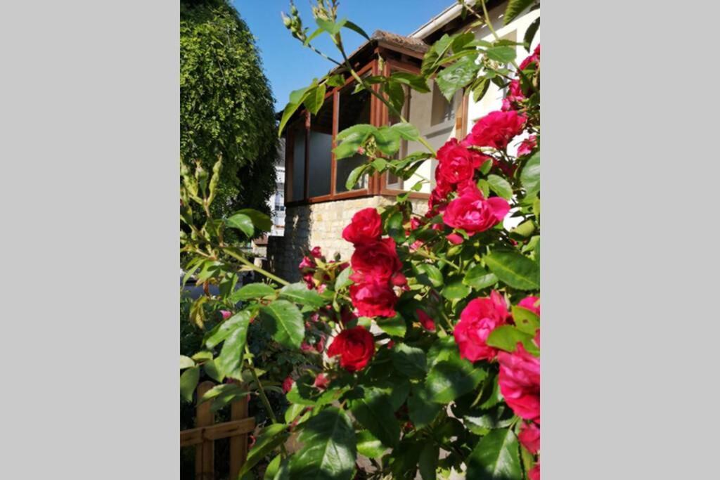 Maison Bayeux: Charming Garden Retreat Near City Centre Exterior photo