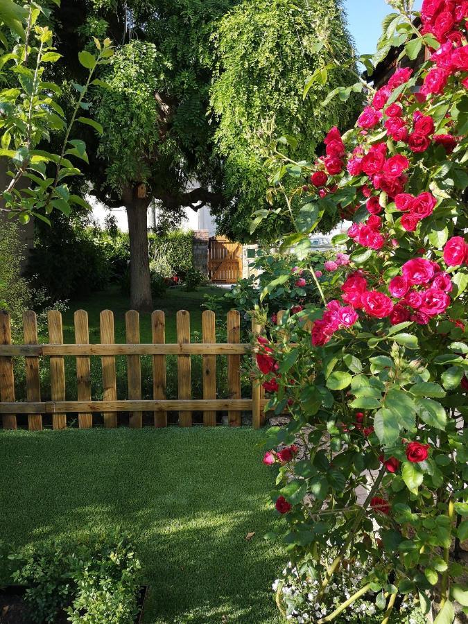 Maison Bayeux: Charming Garden Retreat Near City Centre Exterior photo